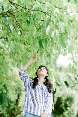 无节操摄影部动漫