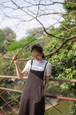 大地资源免费视频观看